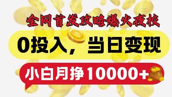 全网首发爆火夜校，0投入，当日变现，小白轻松月入1w+【揭秘】-东升网创