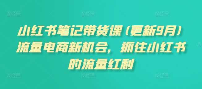 小红书笔记带货课(更新11月)流量电商新机会，抓住小红书的流量红利-东升网创