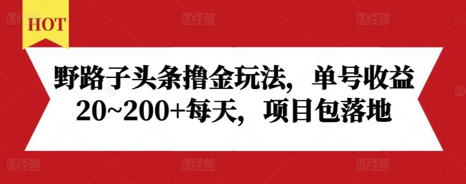 野路子头条撸金玩法，单号收益20~200+每天，项目包落地-东升网创