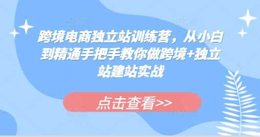 跨境电商独立站训练营，从小白到精通手把手教你做跨境+独立站建站实战-东升网创