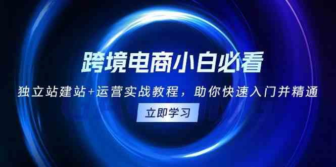 跨境电商小白必看！独立站建站+运营实战教程，助你快速入门并精通-东升网创