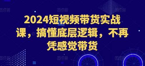 2024短视频带货实战课，搞懂底层逻辑，不再凭感觉带货-东升网创