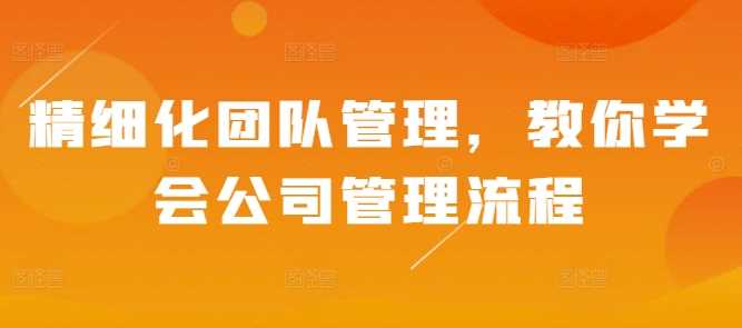 精细化团队管理，教你学会公司管理流程-东升网创