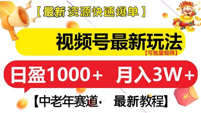 （13530期）视频号最新玩法 中老年赛道 月入3W+-东升网创
