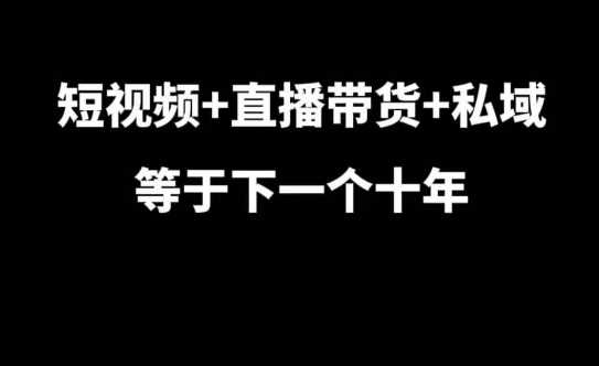 短视频+直播带货+私域等于下一个十年，大佬7年实战经验总结-东升网创