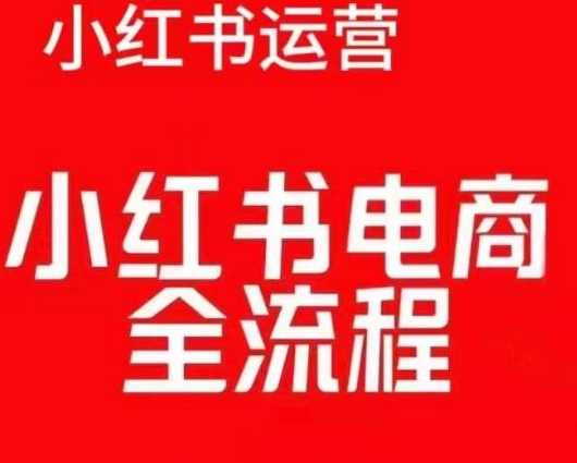 红薯电商实操课，小红书电商全流程-东升网创