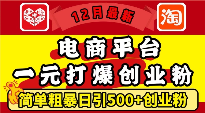12月最新：电商平台1元打爆创业粉，简单粗暴日引500+精准创业粉，轻松月入过W【揭秘】-东升网创