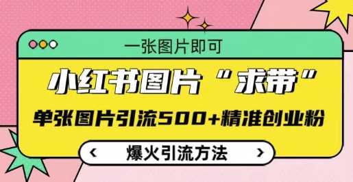 小红书图片‘求带’爆火引流法，单张图片引流500+精准创业粉【揭秘】-东升网创