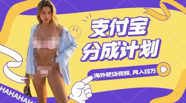 利用海外靶场射击视频，挣支付宝分成收益，轻松月入过W【揭秘】-东升网创