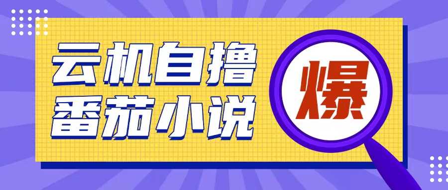 首发云手机自撸小说玩法，10块钱成本可撸200+收益操作简单【揭秘】-东升网创