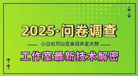 2025问卷调查最新工作室技术解密：一个人在家也可以闷声发大财，小白一天2张，可矩阵放大【揭秘】-东升网创