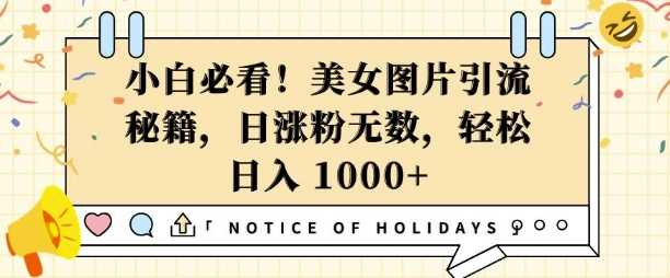 小白必看，美女图片引流秘籍，日涨粉无数，轻松日入几张【揭秘】-东升网创