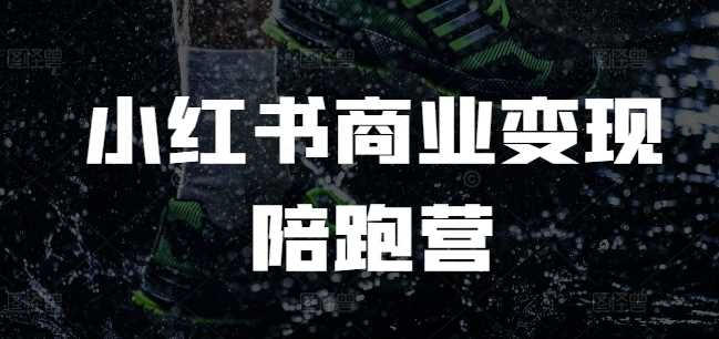 小红书商业变现陪跑营，小红书电商教程-东升网创