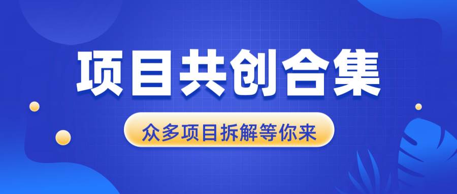 （13778期）项目共创合集，从0-1全过程拆解，让你迅速找到适合自已的项目-东升网创