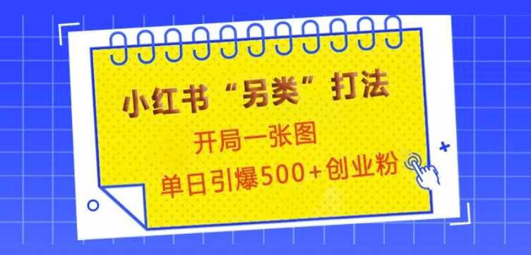 小红书“另类”打法，开局一张图，单日引爆500+精准创业粉【揭秘】-东升网创