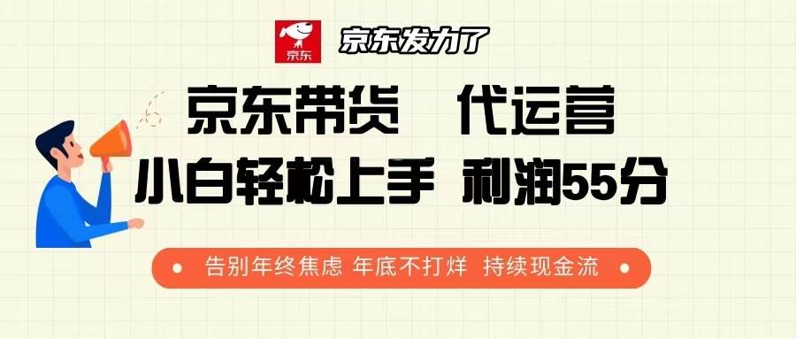 （13833期）京东带货 代运营 利润55分 告别年终焦虑 年底不打烊 持续现金流-东升网创