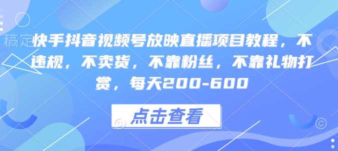 快手抖音视频号放映直播项目教程，不违规，不卖货，不靠粉丝，不靠礼物打赏，每天200-600-东升网创