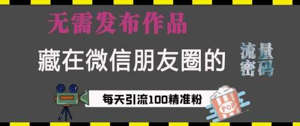 藏在微信朋友圈的流量密码，无需发布作品，单日引流100+精准创业粉【揭秘】-东升网创