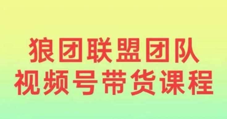 狼团联盟2024视频号带货，0基础小白快速入局视频号-东升网创