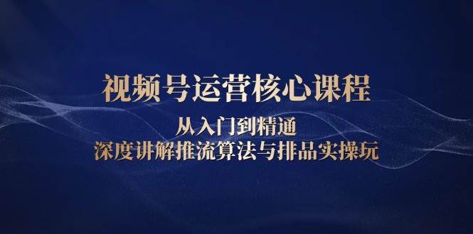 （13863期）视频号运营核心课程，从入门到精通，深度讲解推流算法与排品实操玩-东升网创