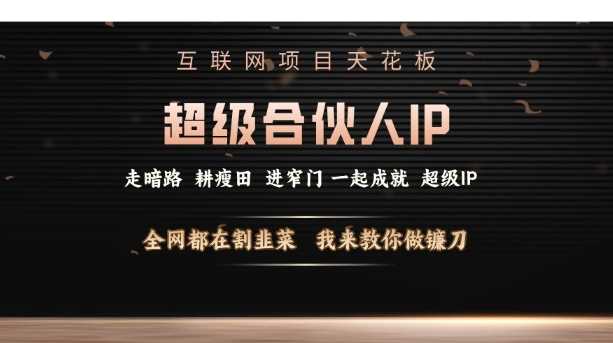 互联网项目天花板，超级合伙人IP，全网都在割韭菜，我来教你做镰刀【仅揭秘】-东升网创