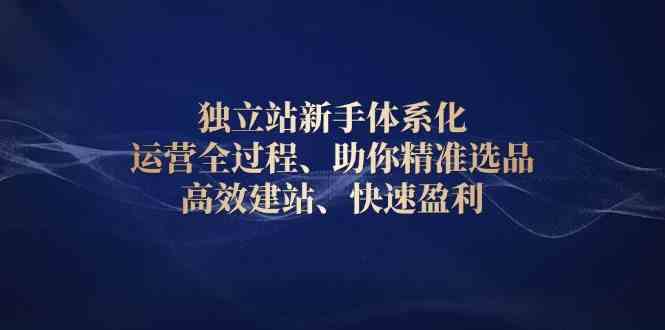 独立站新手体系化 运营全过程，助你精准选品、高效建站、快速盈利-东升网创