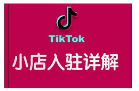 TikTok跨境小店运营全攻略，帮助你独立运营TK跨境小店的能力，实现销量增长-东升网创