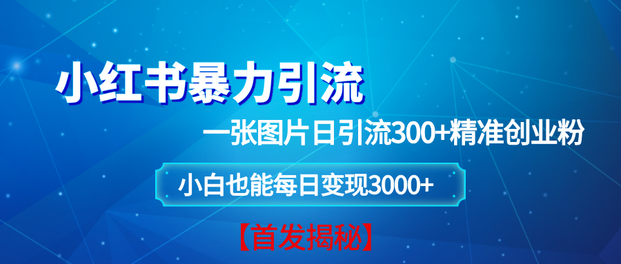 （13935期）小红书暴力引流法，一张图片日引 300+精准创业粉，每日稳定变现 3000+【揭秘】-东升网创