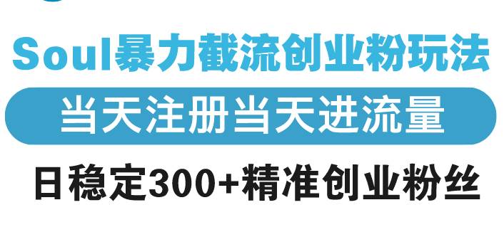 （13935期）Soul暴力截流创业粉玩法，当天注册当天进流量，日稳定300+精准创业粉丝-东升网创
