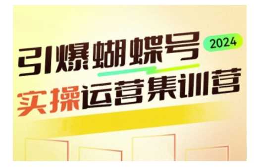 引爆蝴蝶号实操运营，助力你深度掌握蝴蝶号运营，实现高效实操，开启流量变现之路-东升网创