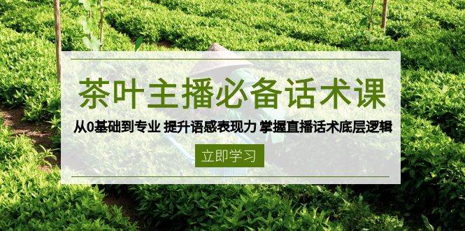 （13961期）茶叶 主播必备话术课 从0基础到专业 提升语感表现力 掌握直播话术底层逻辑-东升网创