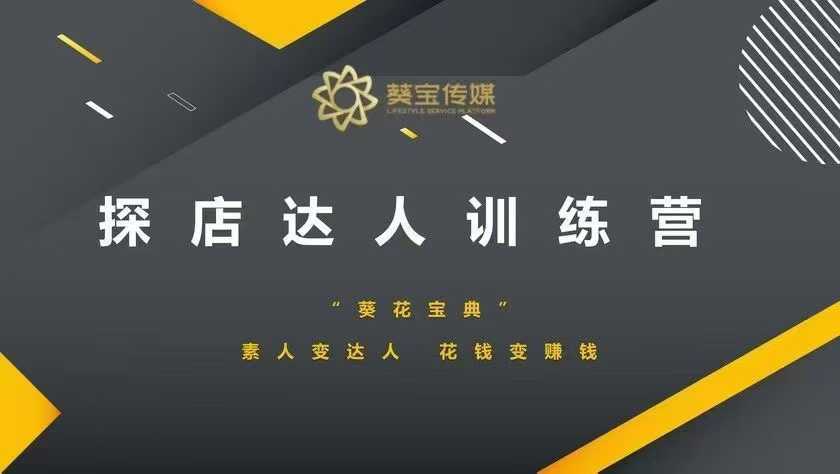 探店达人训练营，素人变达人，花钱变赚钱-东升网创