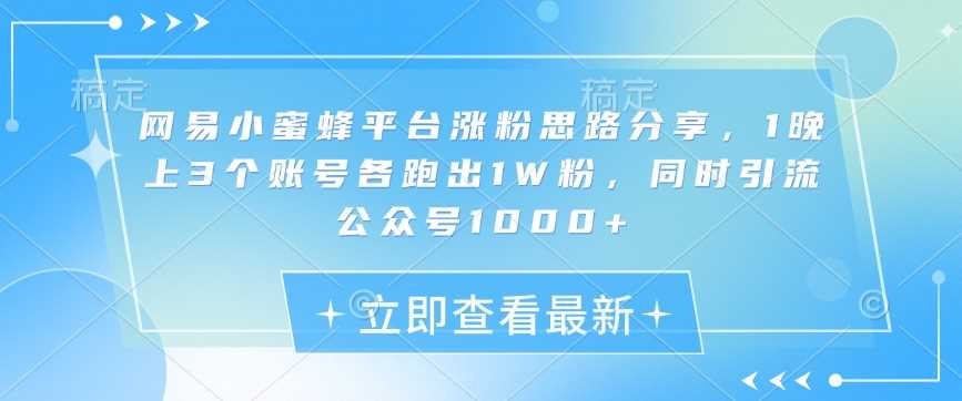 网易小蜜蜂平台涨粉思路分享，1晚上3个账号各跑出1W粉，同时引流公众号1000+-东升网创