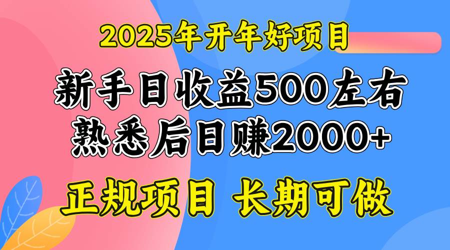 （14076期）2025开年好项目，单号日收益2000左右-东升网创