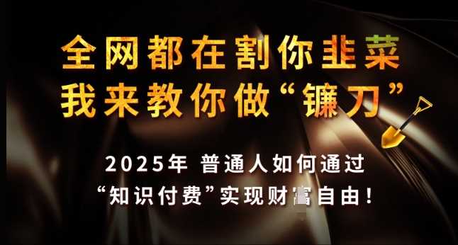 全网都在割你韭菜，我来教你做镰刀，2025年普通人如何通过 知识付费 实现财F自由【揭秘】-东升网创