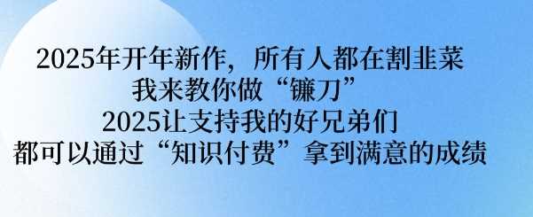 2025年开年新作，所有人都在割韭菜，我来教你做“镰刀” 2025让支持我的好兄弟们都可以通过“知识付费”拿到满意的成绩【揭秘】-东升网创