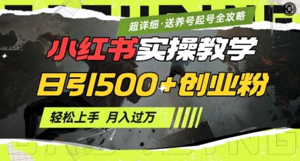 2月小红书最新日引500+创业粉实操教学【超详细】小白轻松上手，月入1W+，附小红书养号起号SOP-东升网创