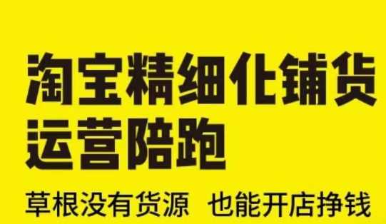 淘宝精细化铺货运营陪跑(部分更新至2025)，草根没有货源 也能开店挣钱-东升网创