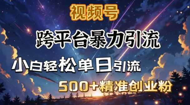 跨平台暴力引流，私域完美闭环，日引500+精准创业粉-东升网创