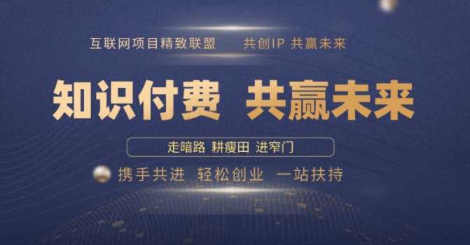 别人苦寻无果，为何他们靠知识付费卖项目 2025 年轻松年入100个?【揭秘】-东升网创