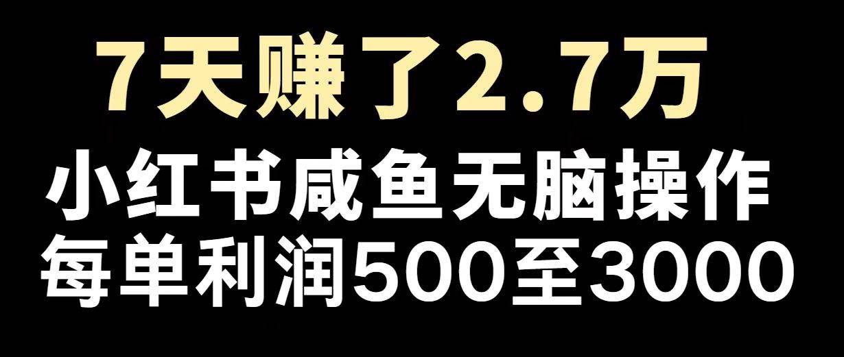（14183期）最赚钱项目之一，2025爆火，逆风翻盘！-东升网创