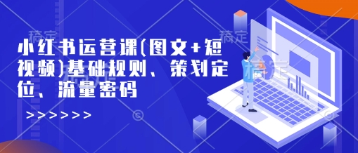小红书运营课(图文+短视频)基础规则、策划定位、流量密码-东升网创