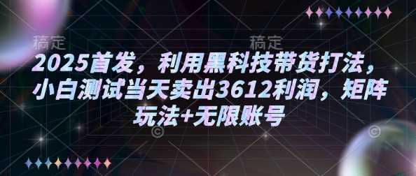 2025首发，利用黑科技带货打法，小白测试当天卖出3612利润，矩阵玩法+无限账号【揭秘】-东升网创