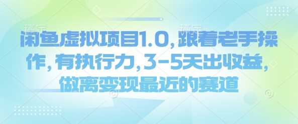 闲鱼虚拟项目1.0，跟着老手操作，有执行力，3-5天出收益，做离变现最近的赛道-东升网创