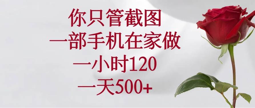 （14248期）你只管截图，一部手机在家做，一小时120，一天500+-东升网创