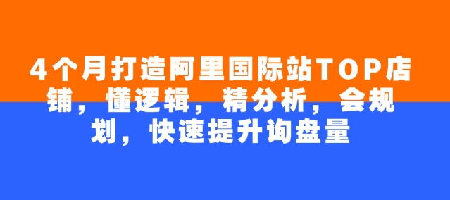 4个月打造阿里国际站TOP店铺，懂逻辑，精分析，会规划，快速提升询盘量-东升网创