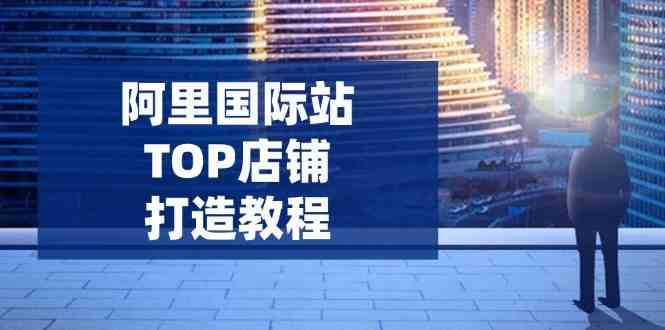 阿里国际站TOP店铺打造教程：涵盖平台到高阶，解决运营难题，提升询盘-东升网创