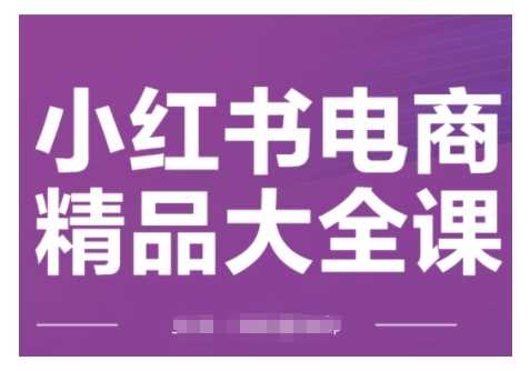 小红书电商精品大全课，快速掌握小红书运营技巧，实现精准引流与爆单目标，轻松玩转小红书电商(更新2月)-东升网创