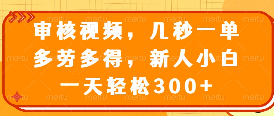 （14294期）审核视频，几秒一单，多劳多得，新人小白一天轻松300+-东升网创