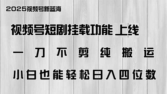 （14310期）视频号短剧挂载功能上线，一刀不剪纯搬运，小白也能轻松日入四位数-东升网创